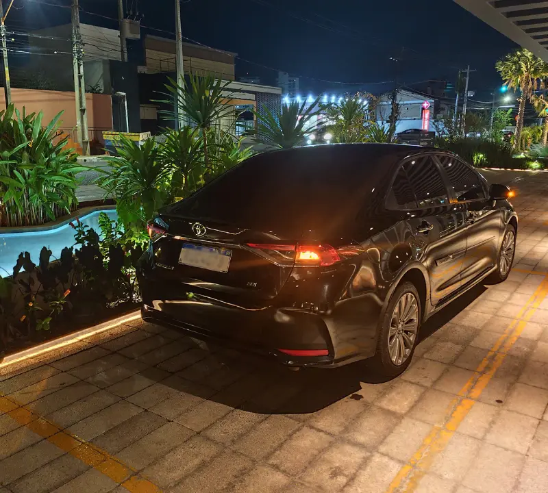 Carro Executivo